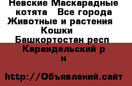 Невские Маскарадные котята - Все города Животные и растения » Кошки   . Башкортостан респ.,Караидельский р-н